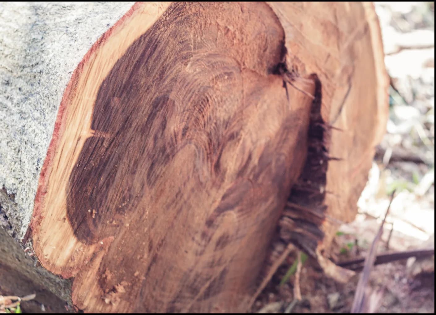 Form exploration process 1