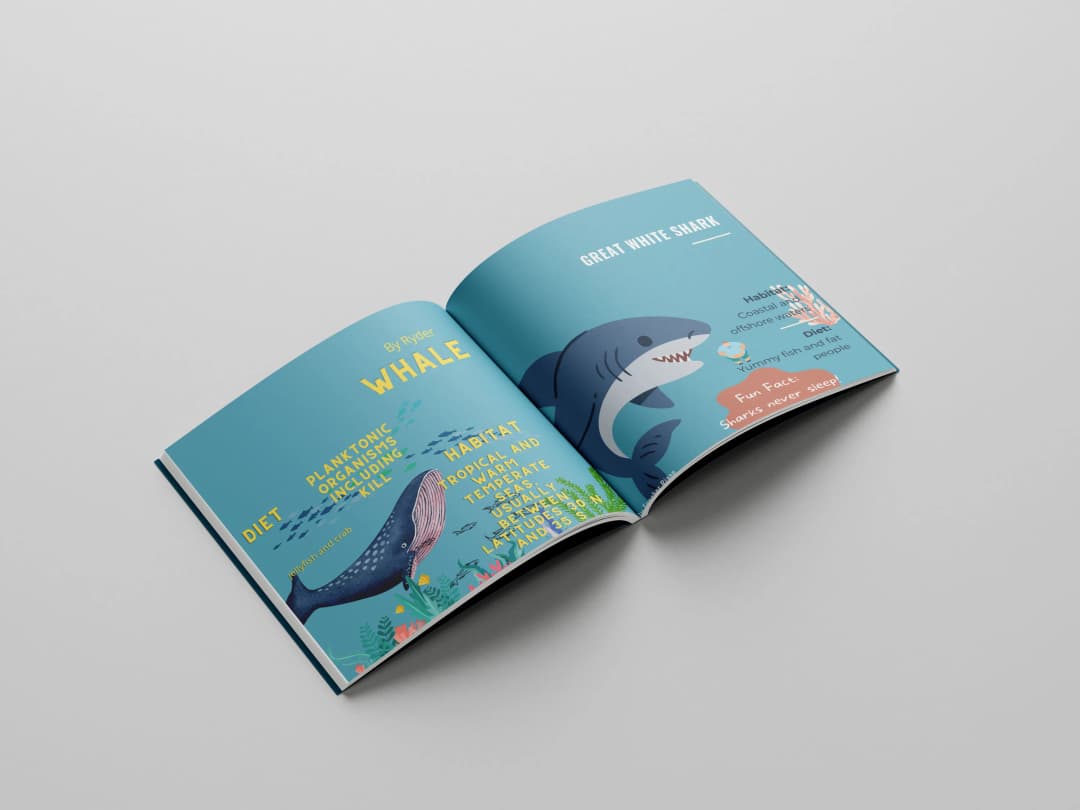 Studio School - image 3