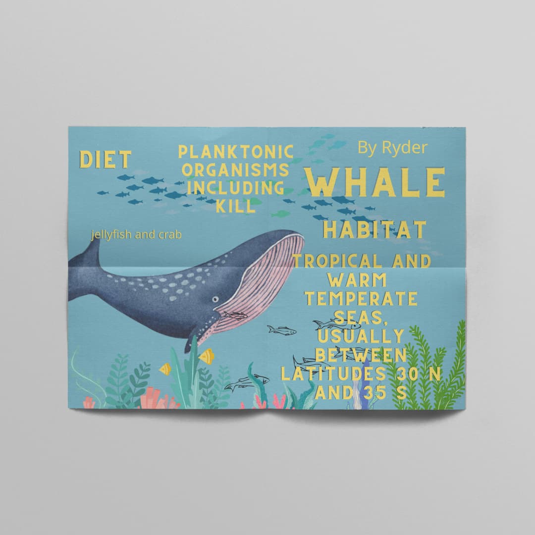 Studio School - image 7