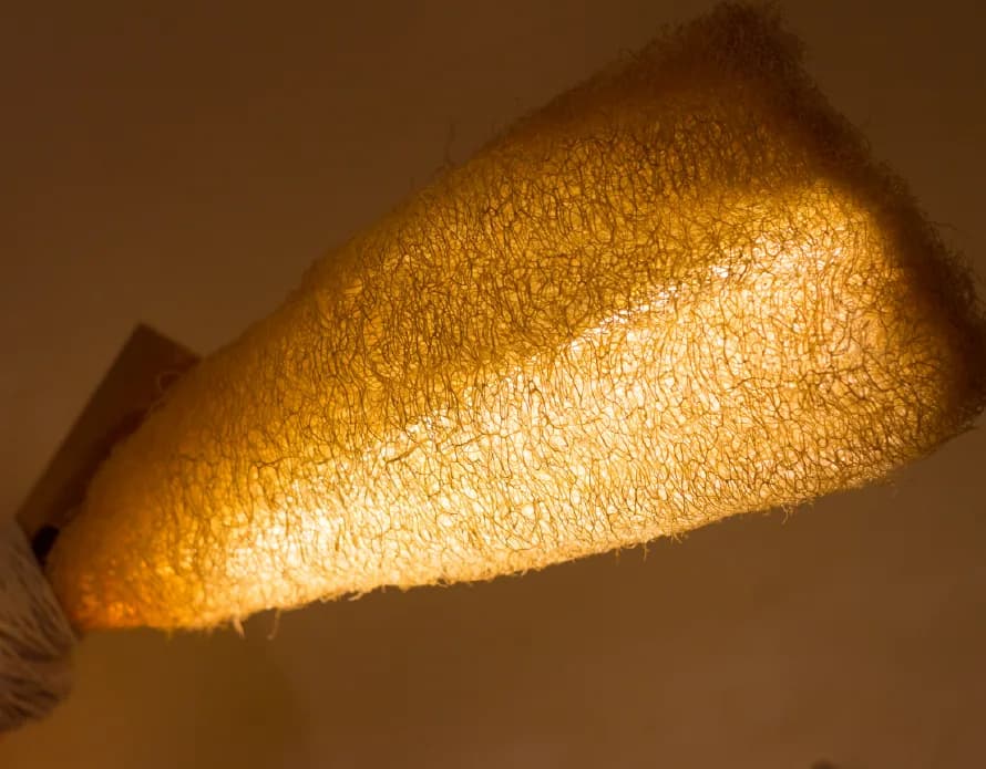 The Temple of Trash - image 2