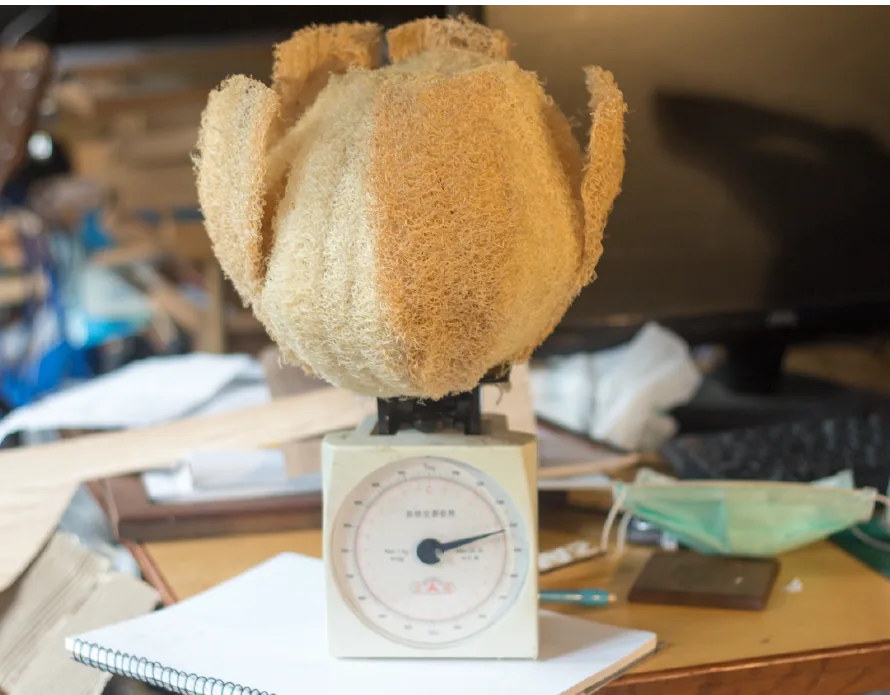 Remote collaboration process 1